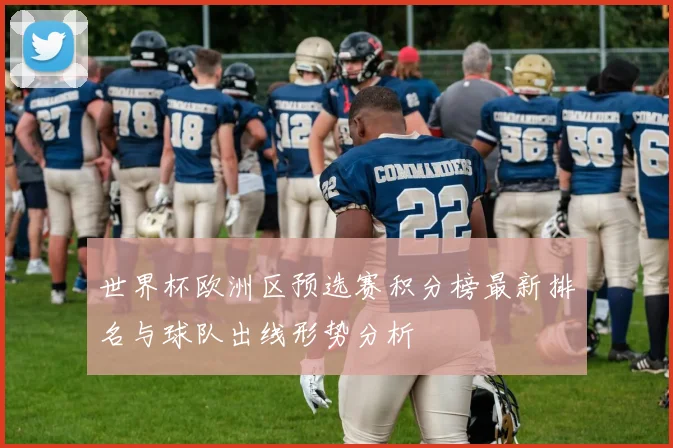 世界杯欧洲区预选赛积分榜最新排名与球队出线形势分析
