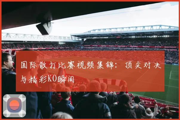 国际散打比赛视频集锦：顶尖对决与精彩KO瞬间